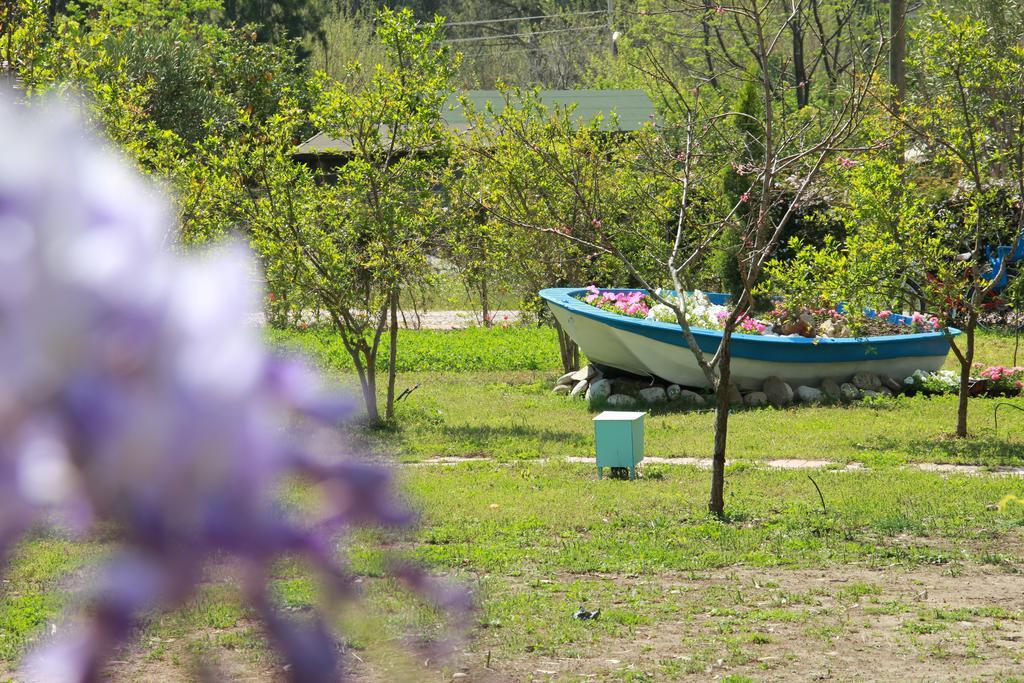 Esralina Pension Hotel Cirali Exterior photo